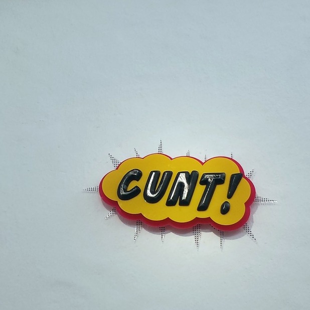 "CUNT!" av Petra Ryrberg